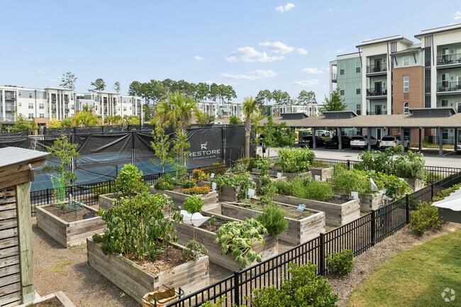Community Garden