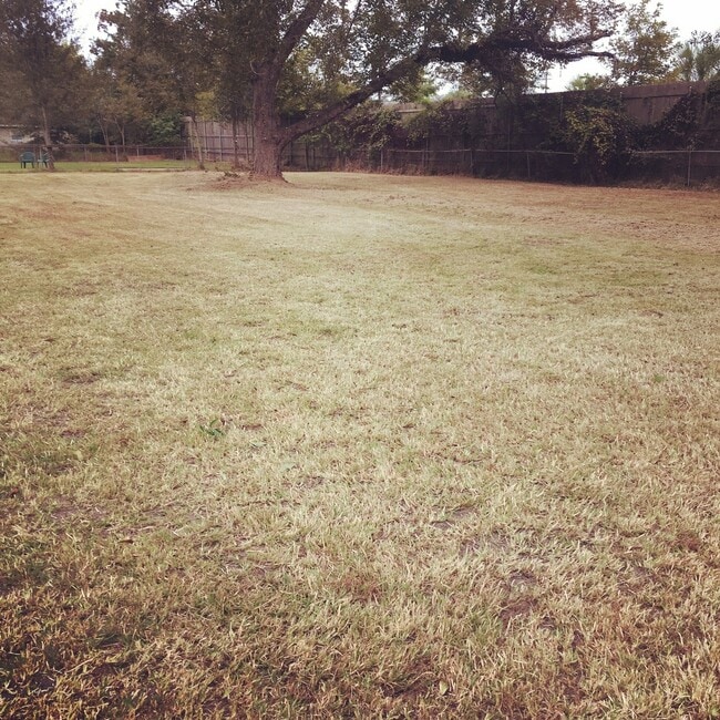 Photo - BEAUTIFUL 3/1 HOME ON HUGE DOUBLE LOT