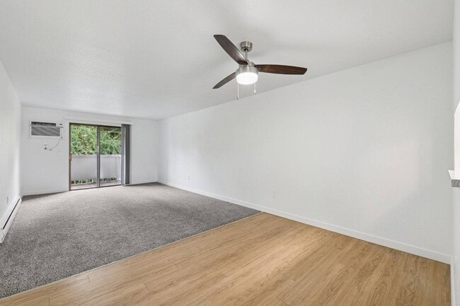 Photo - Shannon South