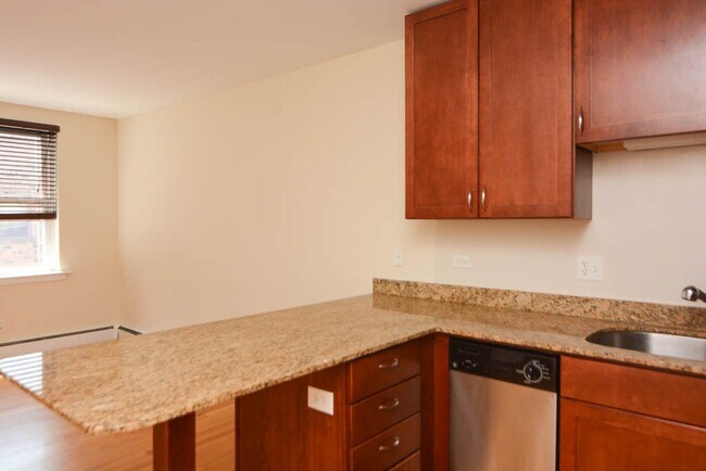 675 W Wrightwood Ave Unit 105