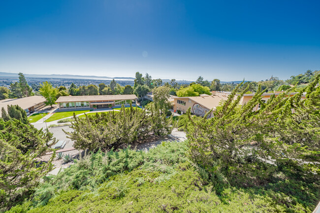 Stunning Views of The Ocean and City Skyline! - The Dorms at Woodminster Terrace Apartments
