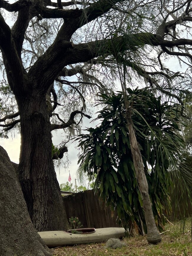 Photo - 13211 Elm St