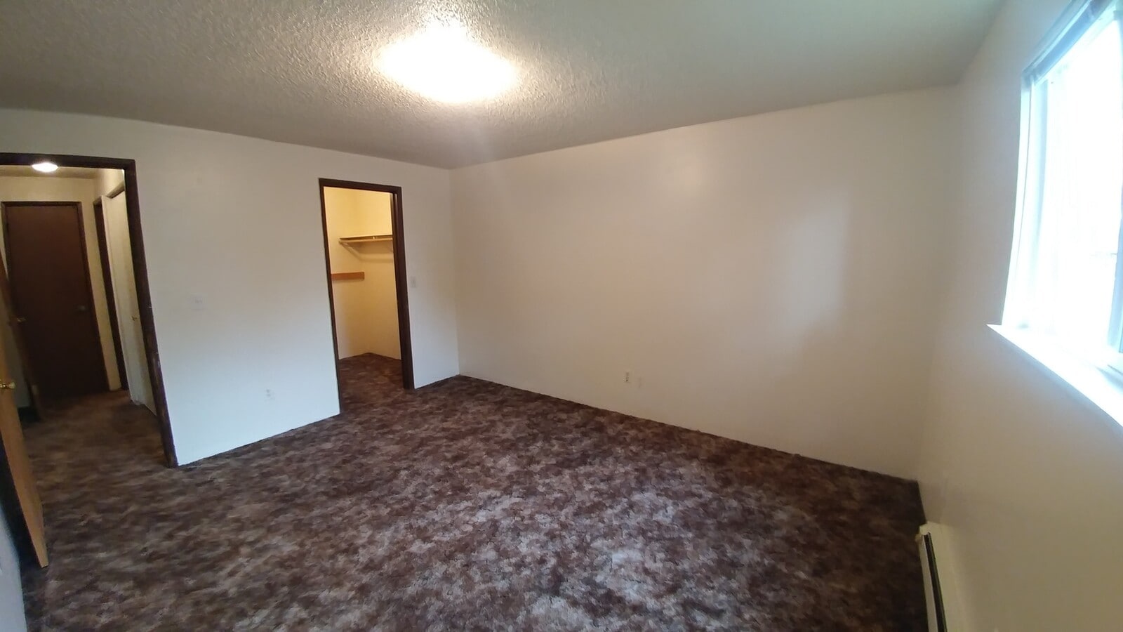 Photo - 1 Bedroom, 1 Bathroom Downstairs Apartment - South Suburbs