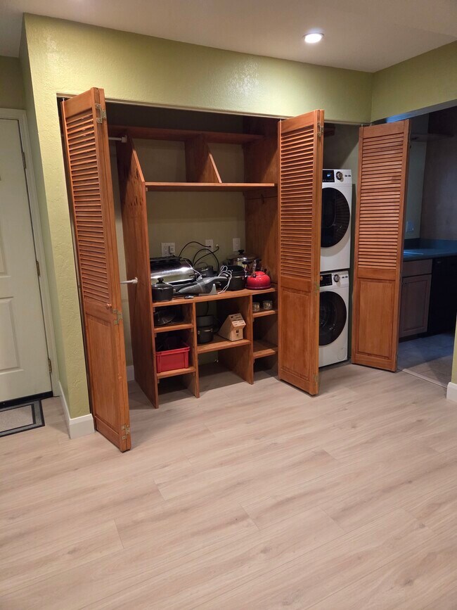 Built-in media cabinet, washer-dryer. (misc stuff not included :)