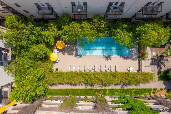 Pool Area - Level Apartments