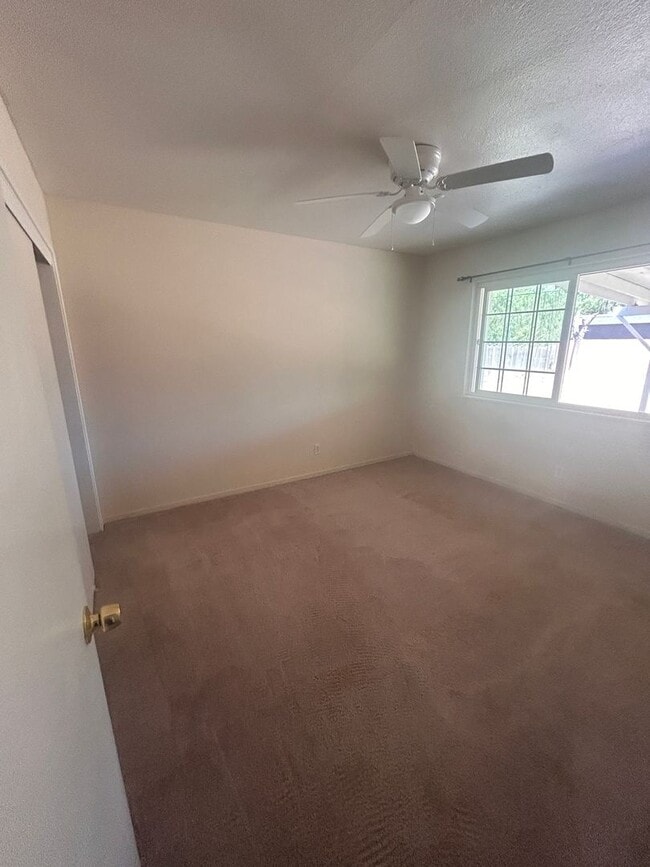Photo - Move in Ready in Hanford 3 bedroom, 1 bath with large yard!