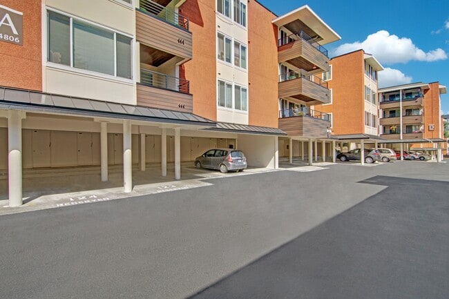 Watercrest