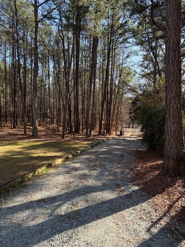 925 Shady Lawn Rd