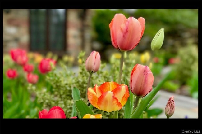 Photo - 116 Potter Rd