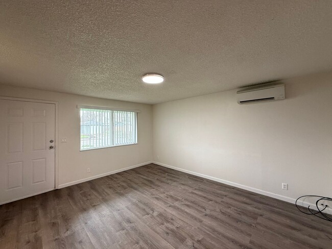 Photo - Thurston Charmer