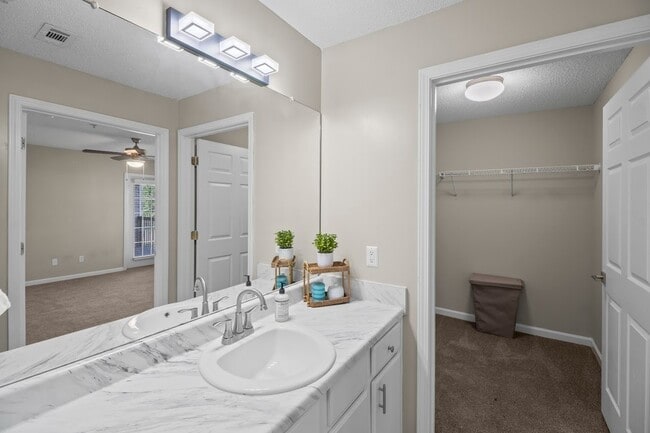 Bathroom & Walk in Closet
