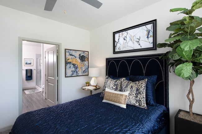 The Luxe at Cedar Hill 55+ Active Adult