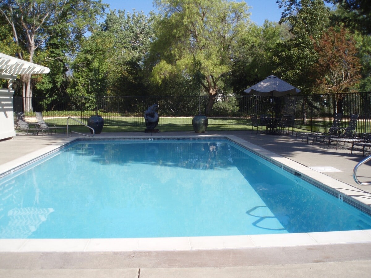 Stunning Upstairs Apartment, Quiet and Lots of Natural Sunlight! It's a must see... - Stunning Upstairs Apartment, Quiet and Lots of Natural Sunlight! It's a must see...