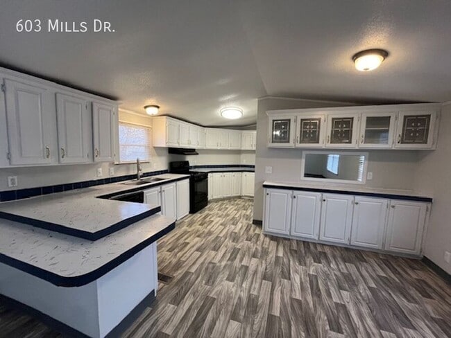 Building Photo - 603 N Mills Dr