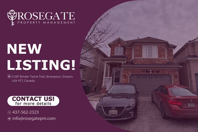 Building Photo - Cozy 1-Bedroom Basement Apartment with Backyard & Parking in Brampton Unit 2