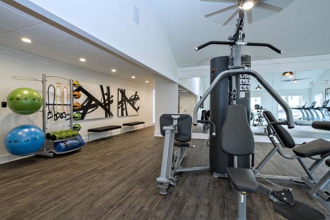 Large Well Equipped Gym