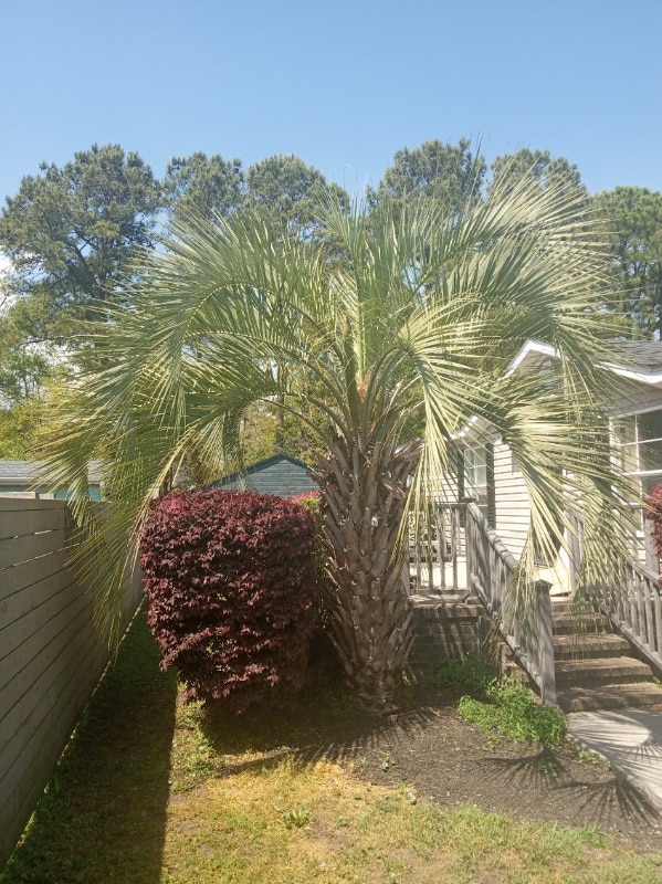 Building Photo - 881 Whaler Pl Rental