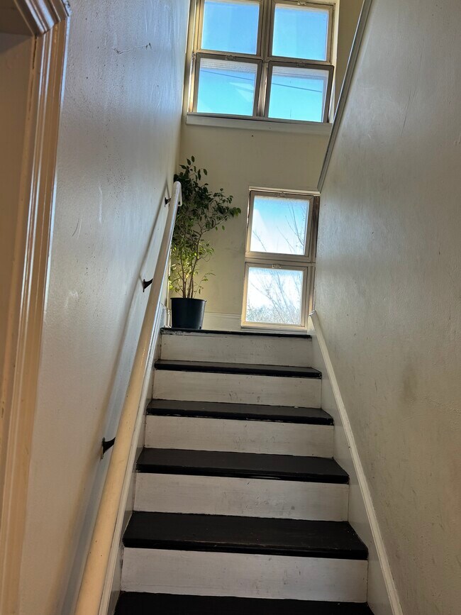Elysian Apartments