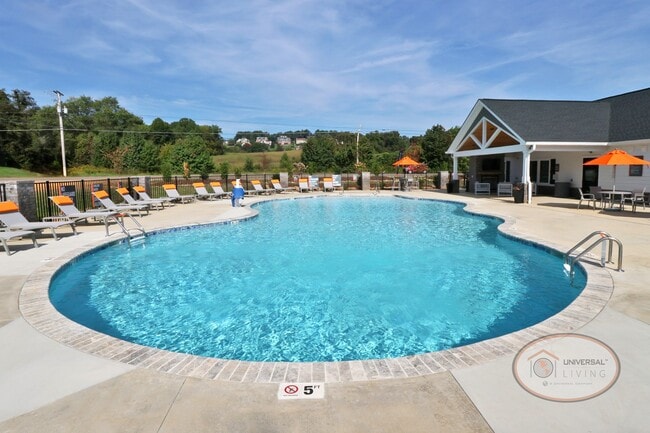 Pool - Universal at Mountain View