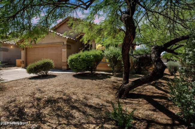 Photo - 10307 E Caribbean Ln