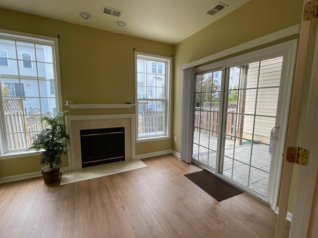 Basement fireplace - 25149 Sodalite Sq Townhome