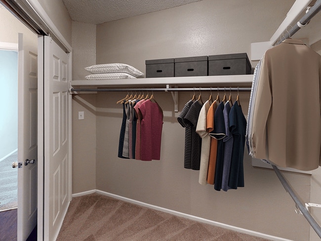 Large Walk-In Closet