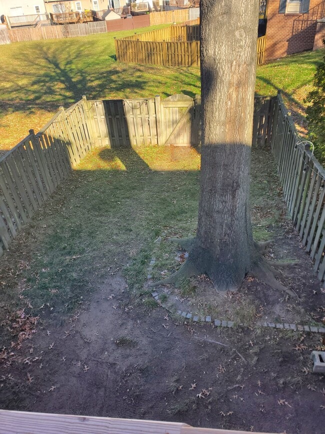 Photo - 1024 Cape Splitt Harbour