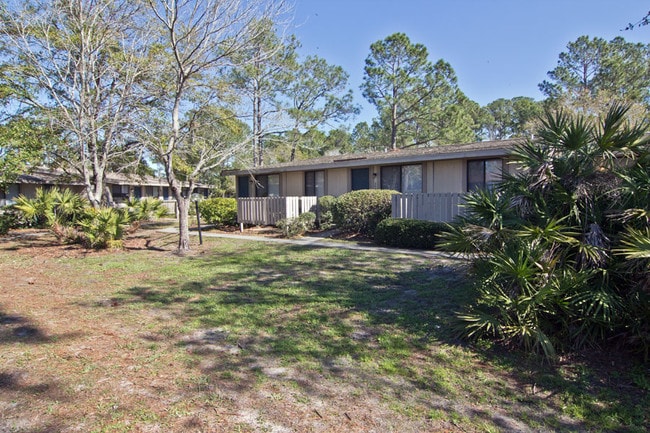 Photo - Pine Barrens