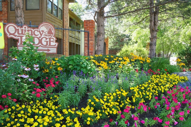 Quincy Ridge Apartments