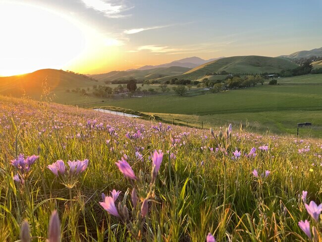 Photo - 7575 Manning Rd