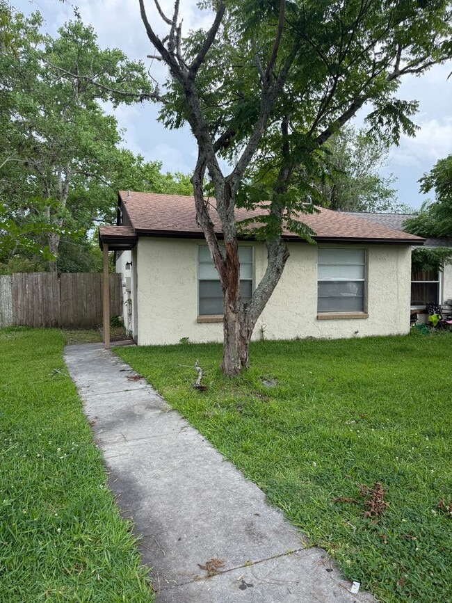 Nice 2/1 locted in Orange Park - Nice 2/1 locted in Orange Park House