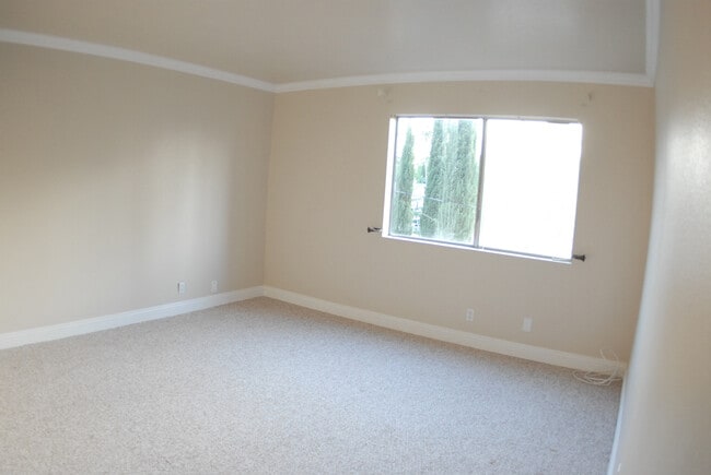 Large Bedroom