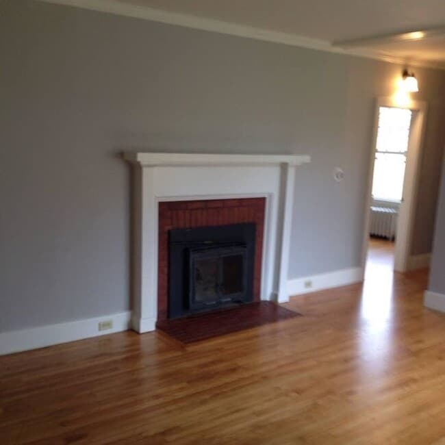 Non-working fireplace - 1 Harris Drive