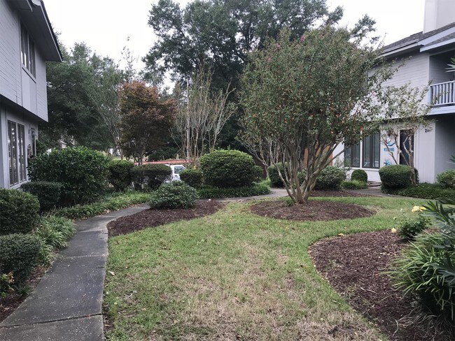 Photo - 304 75th Ave N