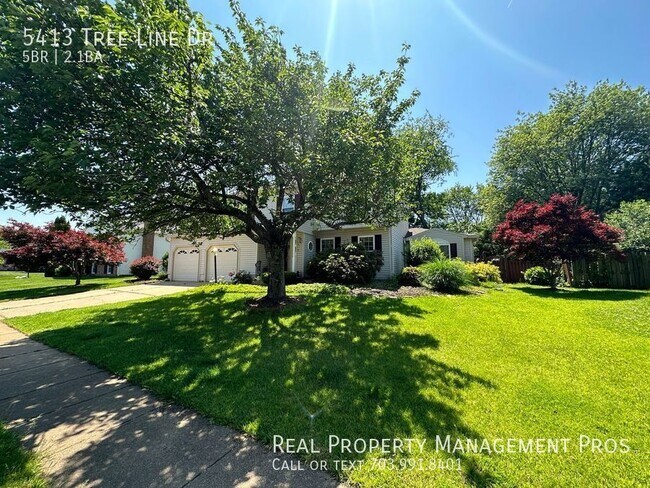 Photo - 5413 Tree Line Dr