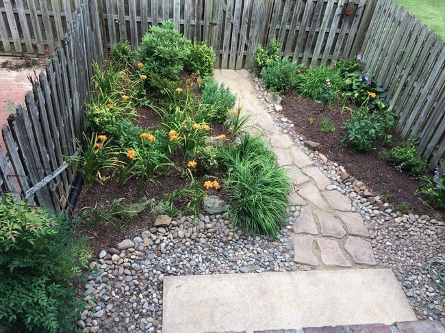 back yard