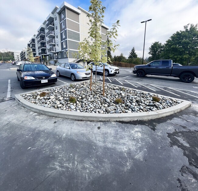 Photo - Willows Crossing