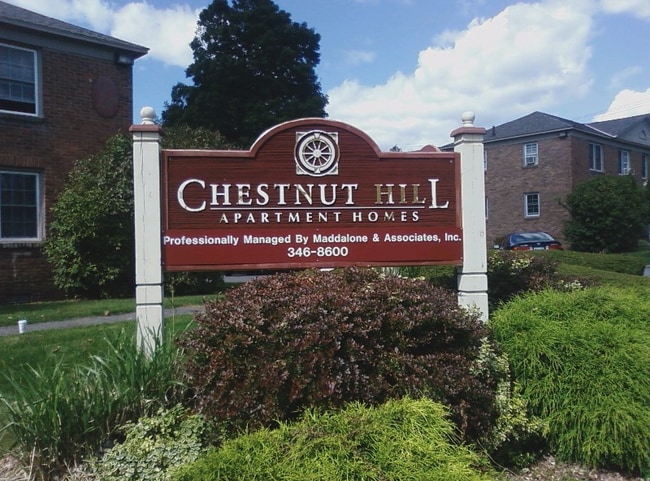 108 Northampton Rd Unit 8 B
