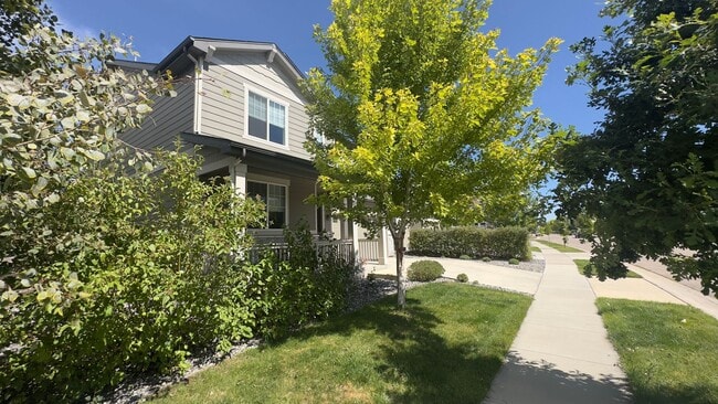 Photo - Great House In Fort Collins