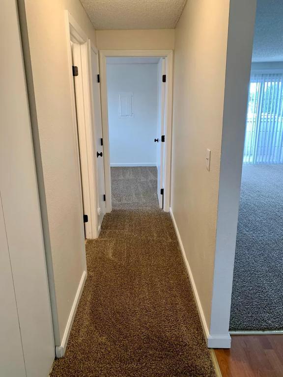 Photo - 4124 W Albany Ave