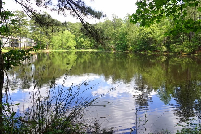 Pine Highland Duck Pond