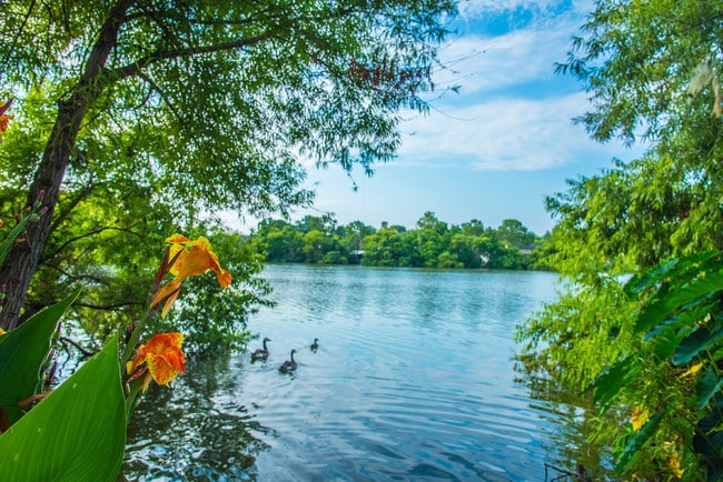 KRC Northlake