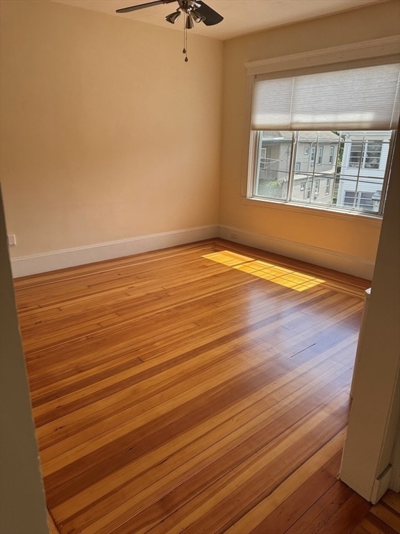 28 Early Ave