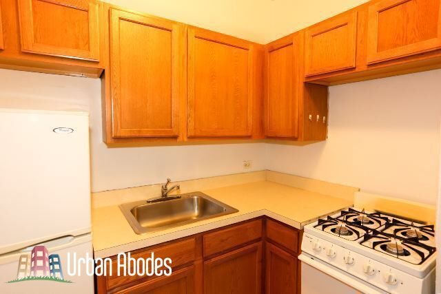 Photo - 1150 N Dearborn St Unit M01B