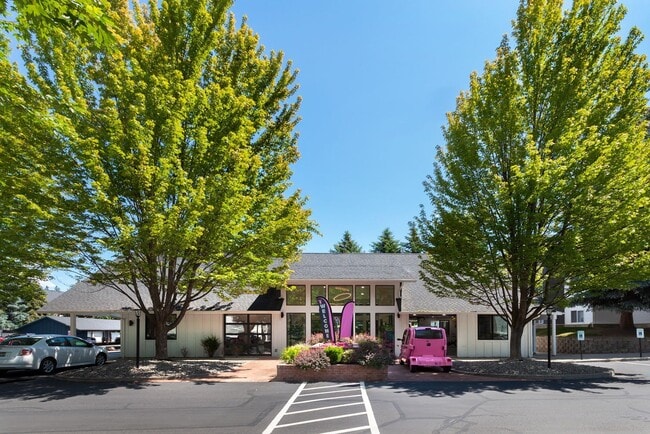 Clubhouse - The Whimsical Pig