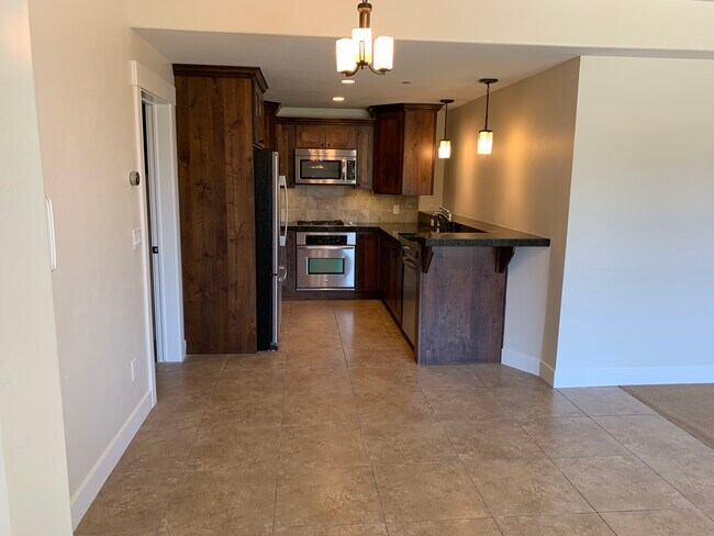 Kitchen / Dining Area (from Entry) - 11093 S Hampton Way Unit Basement Walkout
