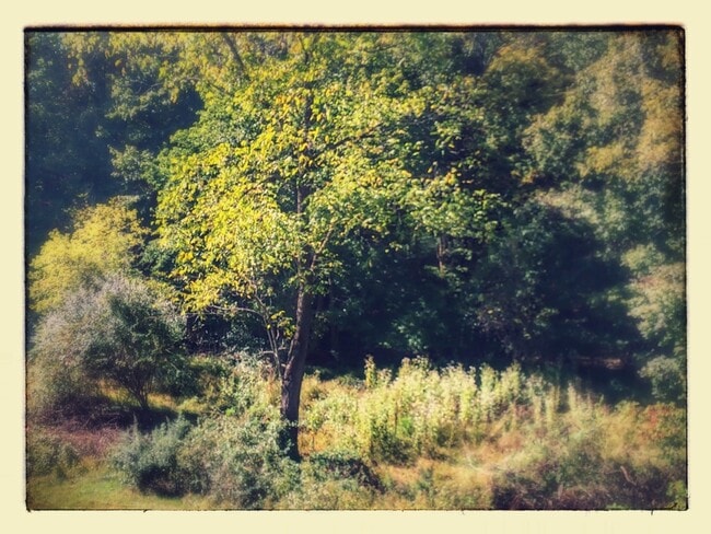 Photo - Economical twin home with great natural light, fresh paint, yard, creek