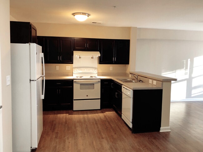 Photo - Shepard Greene