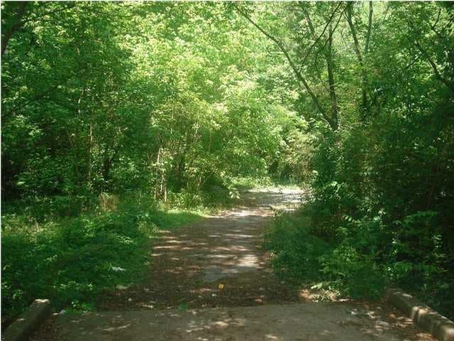 Path