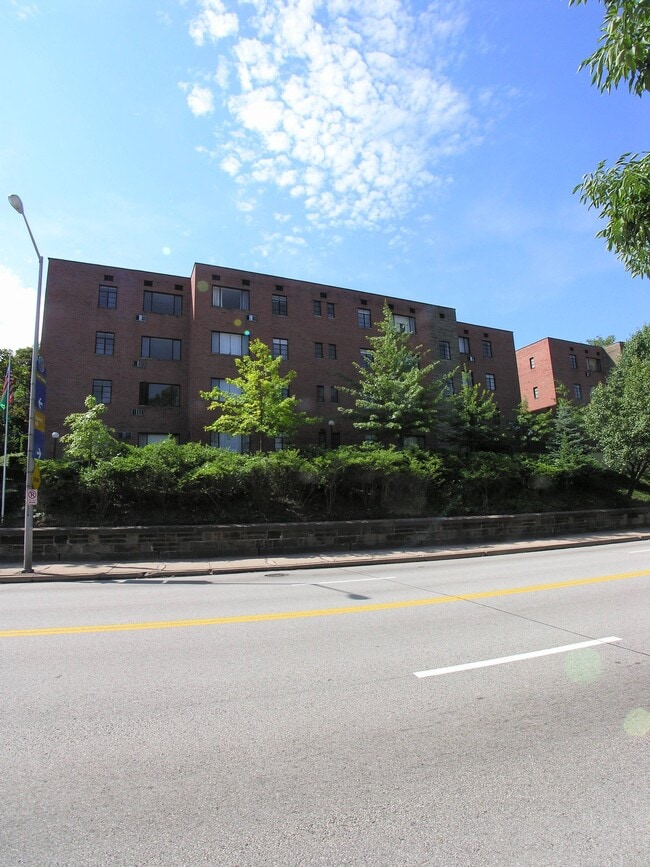 Street Level View